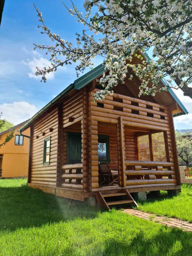 Guest House Green Garden Mojkovac Exterior foto