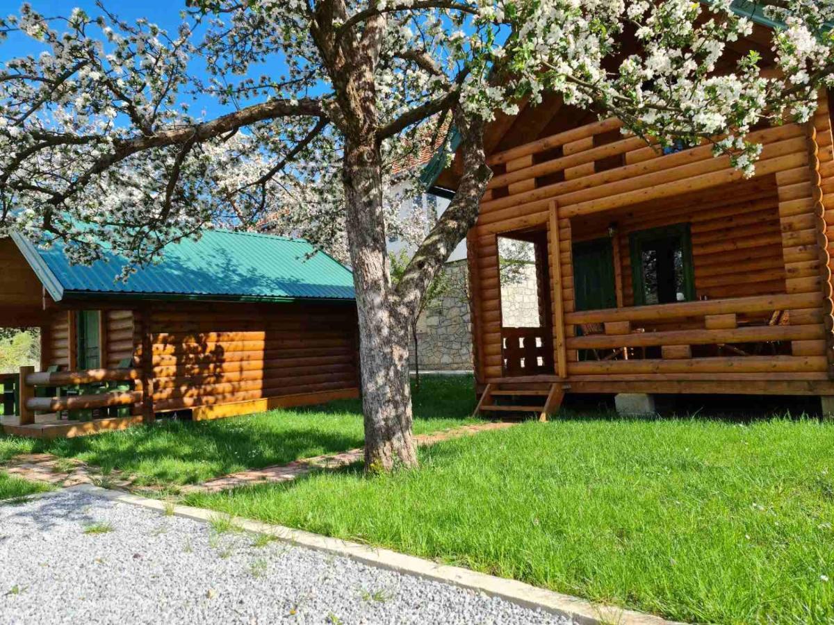 Guest House Green Garden Mojkovac Exterior foto
