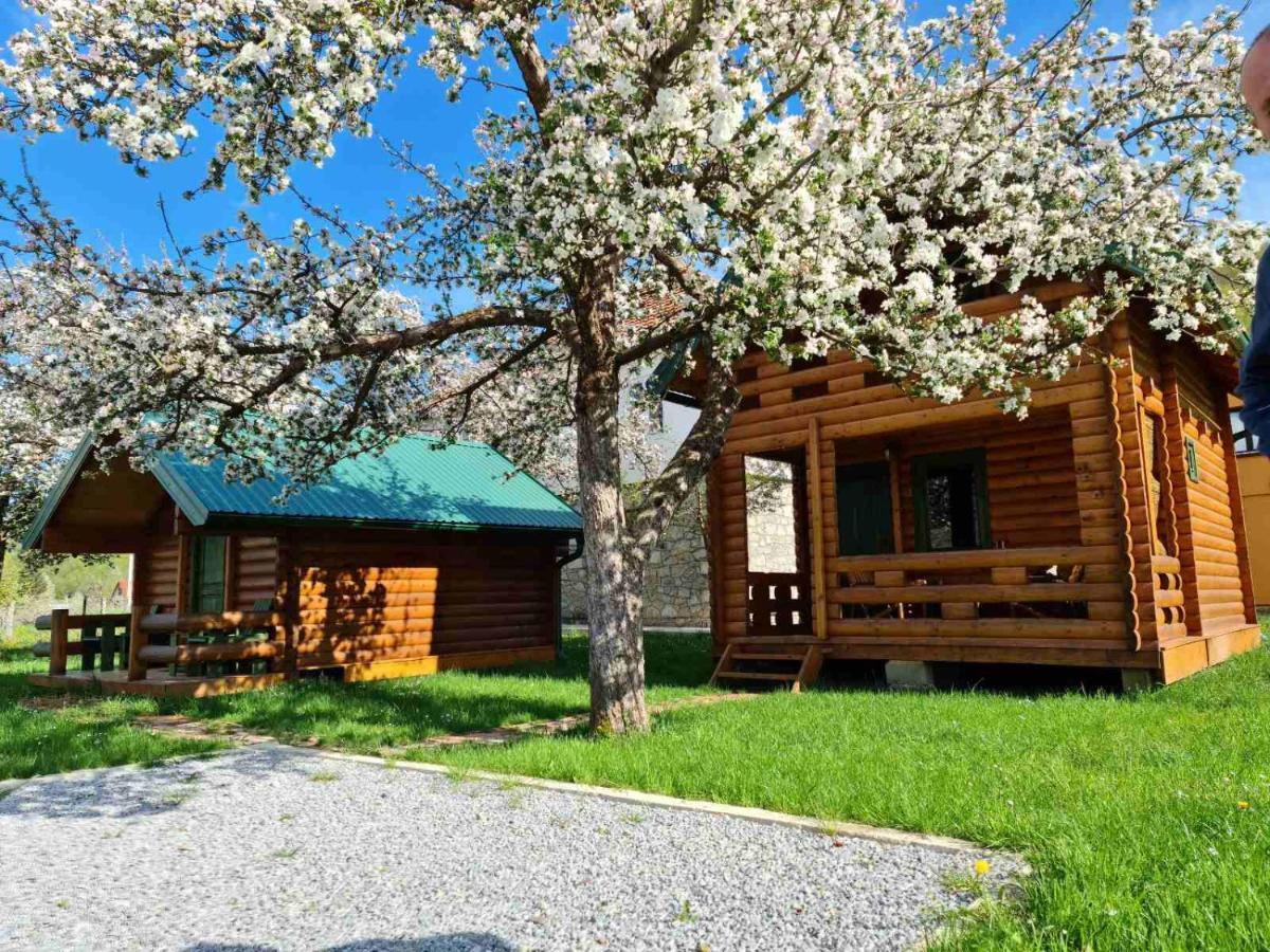 Guest House Green Garden Mojkovac Exterior foto